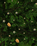 Bitter Almonds Patch Plant Released!
