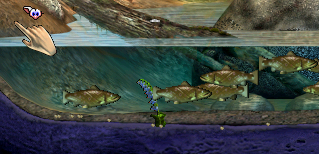 Bluebell in Pond (Click to enlarge)