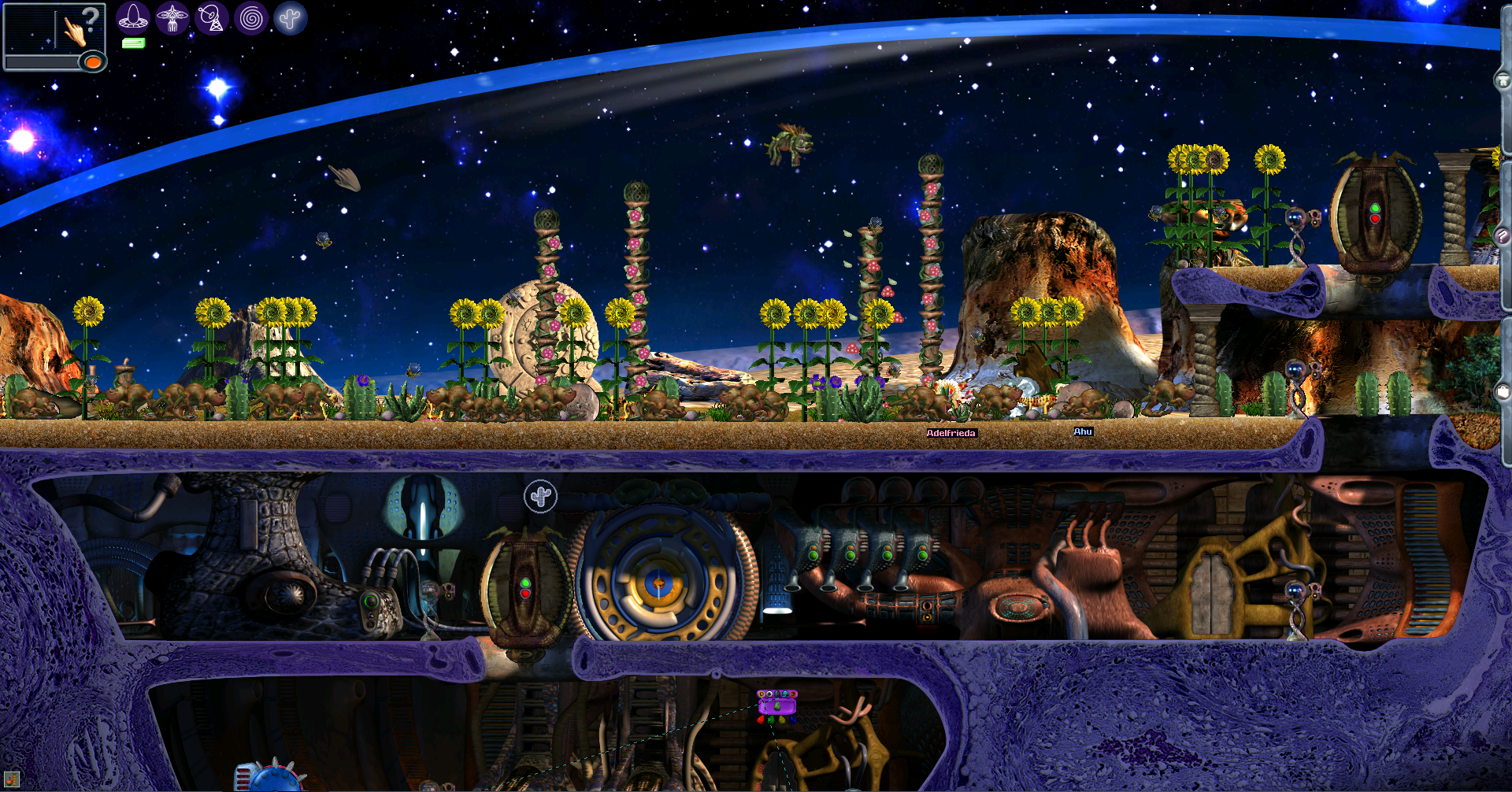 The Desert Terrarium in Bloom (Click to enlarge)