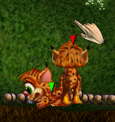 Slightly Tinted WildKats (Click to enlarge)