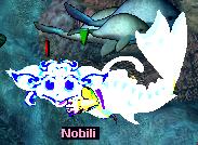 Nobili (Click to enlarge)