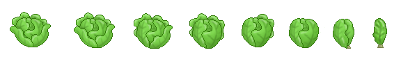 Lettuce as the Leaves Go (Click to enlarge)