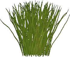Grass Sprites (Click to enlarge)