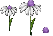 Jelly Tot Flowers (Click to enlarge)