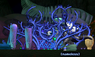 A Mass of Coral (Click to enlarge)