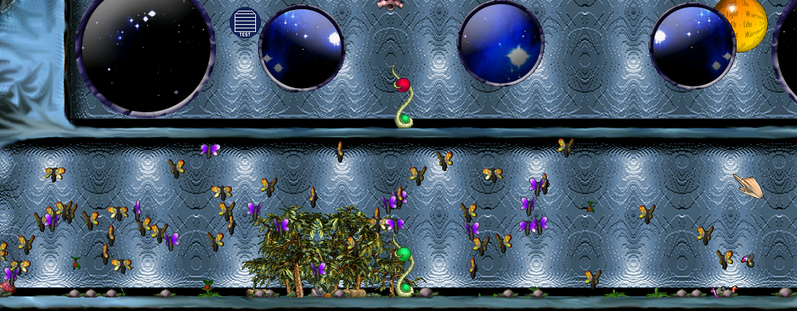 Butterflies (Click to enlarge)