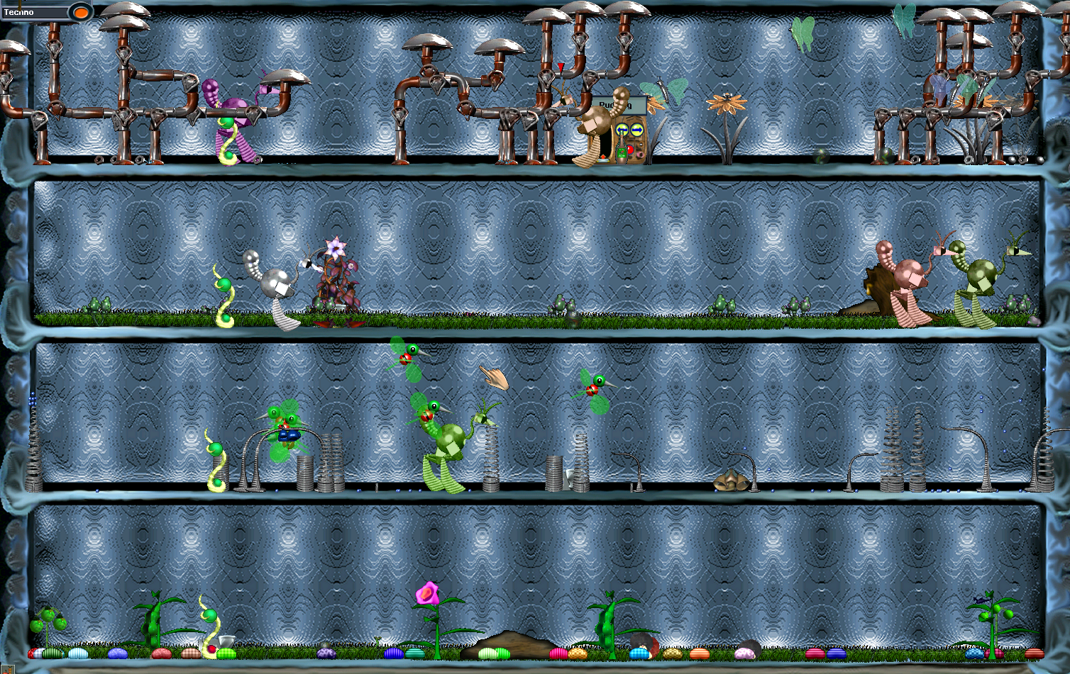 Gaius (Click to enlarge)