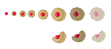 Dulcian Cookies (Click to enlarge)