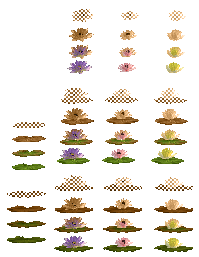 Water Lilies: Part 2 (Click to enlarge)