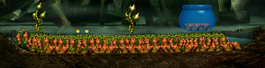 Lots of Albian Water Nuts (Click to enlarge)