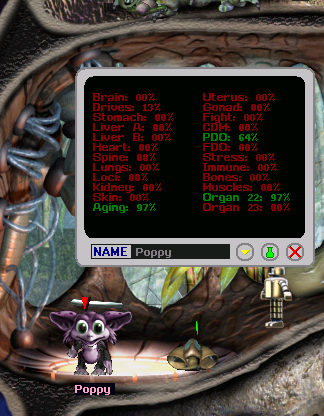 Poppy's X-Ray (Click to enlarge)