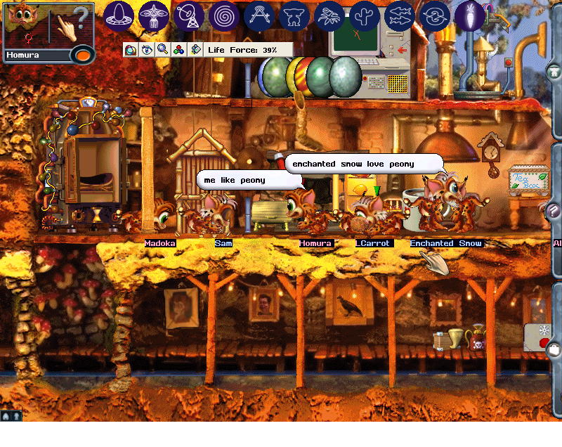 Wildkat Family (Click to enlarge)