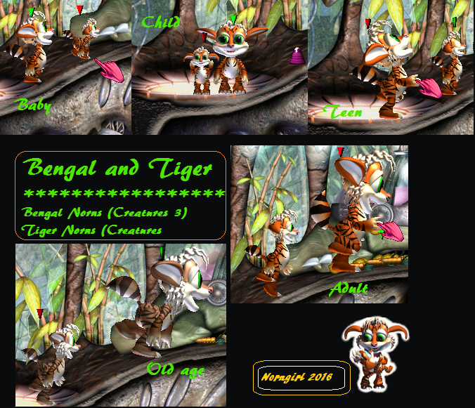 Bengal vs Tiger Norns (Click to enlarge)