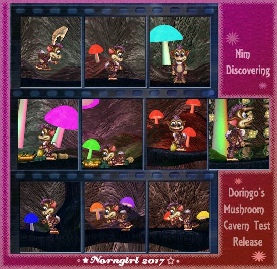 Nims baby photo of exploring.. (Click to enlarge)