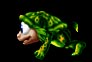 Turtle Norn (Click to enlarge)