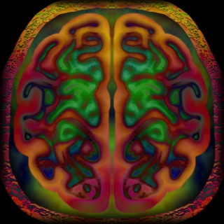 Creatures 2 Neuroscience Kit (Click to enlarge)