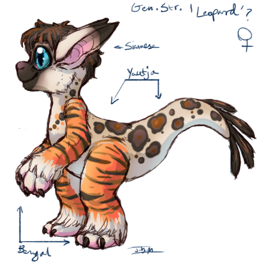 A Leopardy Hybrid  (Click to enlarge)