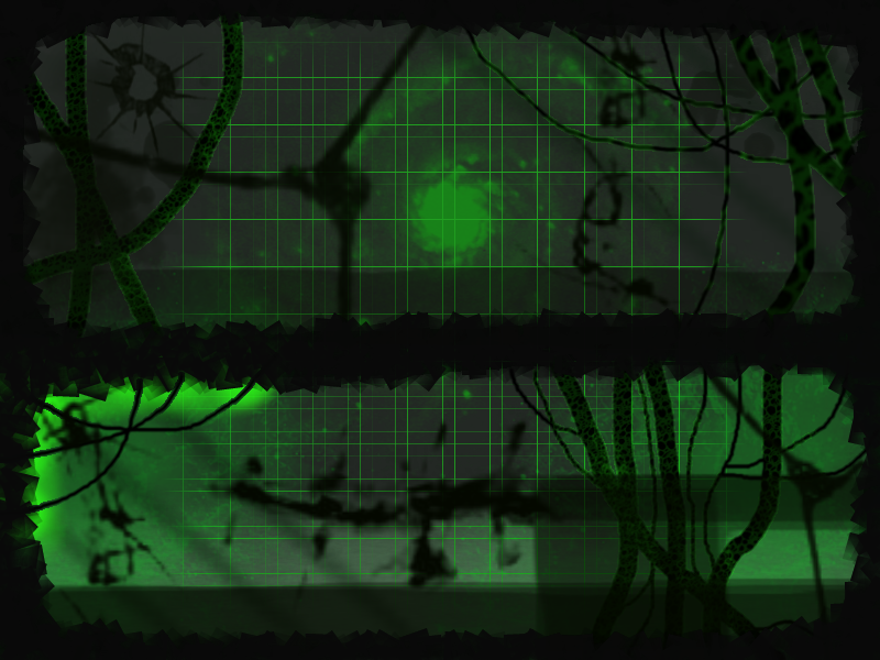 Borg Norn Metaroom V2 (Click to enlarge)