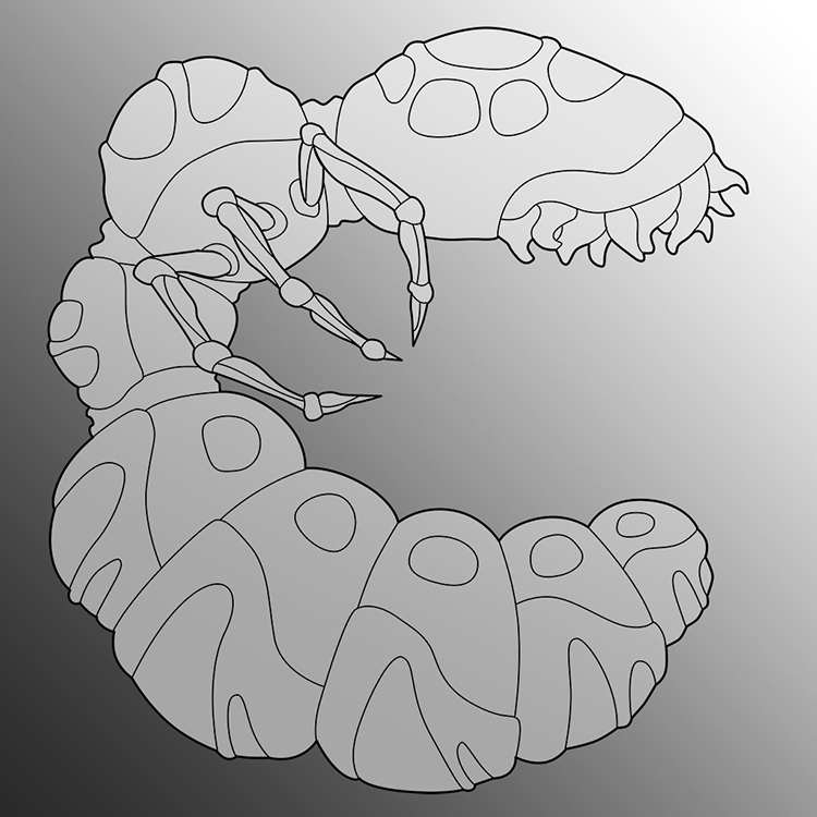 Abominalis Project (Click to enlarge)