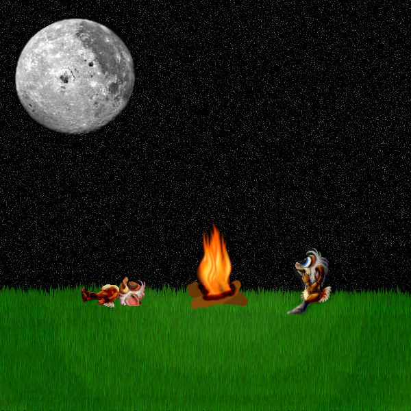 Star Gazing (Click to enlarge)