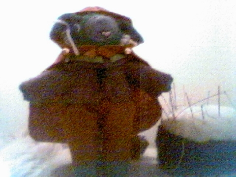 Another Norndoll (Click to enlarge)