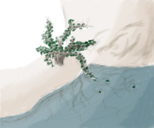 Oasis (Click to enlarge)