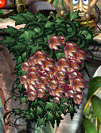Awkwood lol (Click to enlarge)