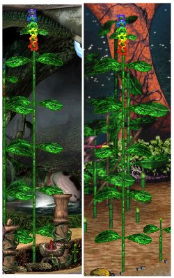 Wow Bamboos (Click to enlarge)