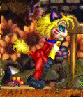 My Neko Ettin, Kardos (Click to enlarge)
