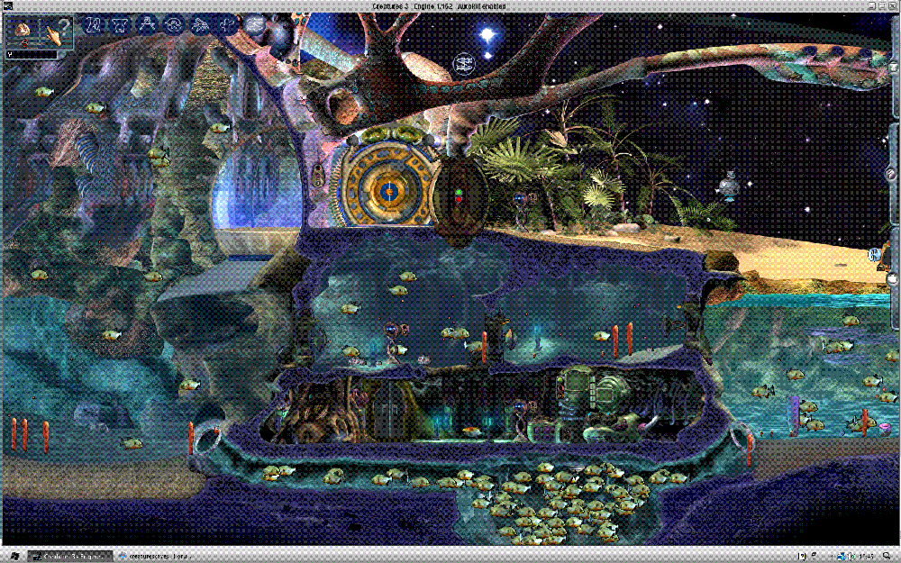 Piranha Terrarium! (Smaller) (Click to enlarge)
