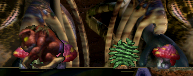 Ginseng in the Jungle (Click to enlarge)