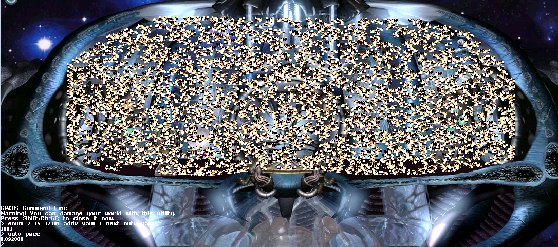 bees (Click to enlarge)